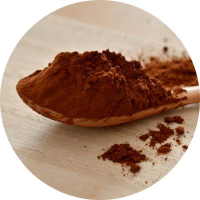 写真：粉末のココア